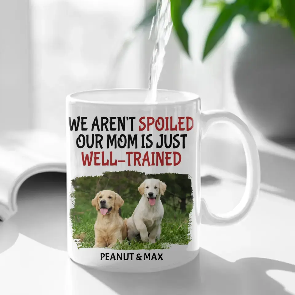 Personalized Custom Coffee Mug For Pet Owner - Well Trained Mom Photo