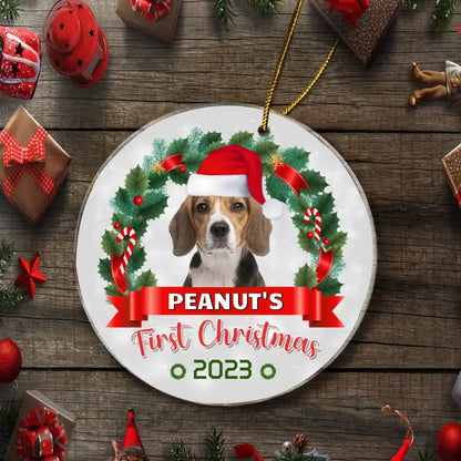 Custom Photo Pawsitively Excited For The First Christmas - Dog & Cat Personalized Custom Ornament