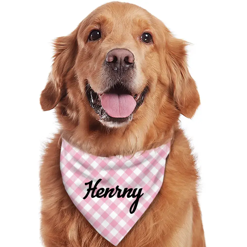 Personalized Plaid Pet Scarf With Custom Name