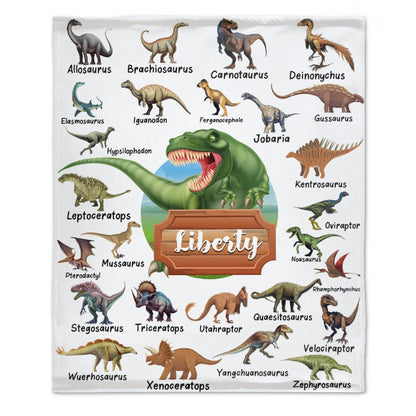 ️Personalized Custom Name Blankets -  Dinosaur World