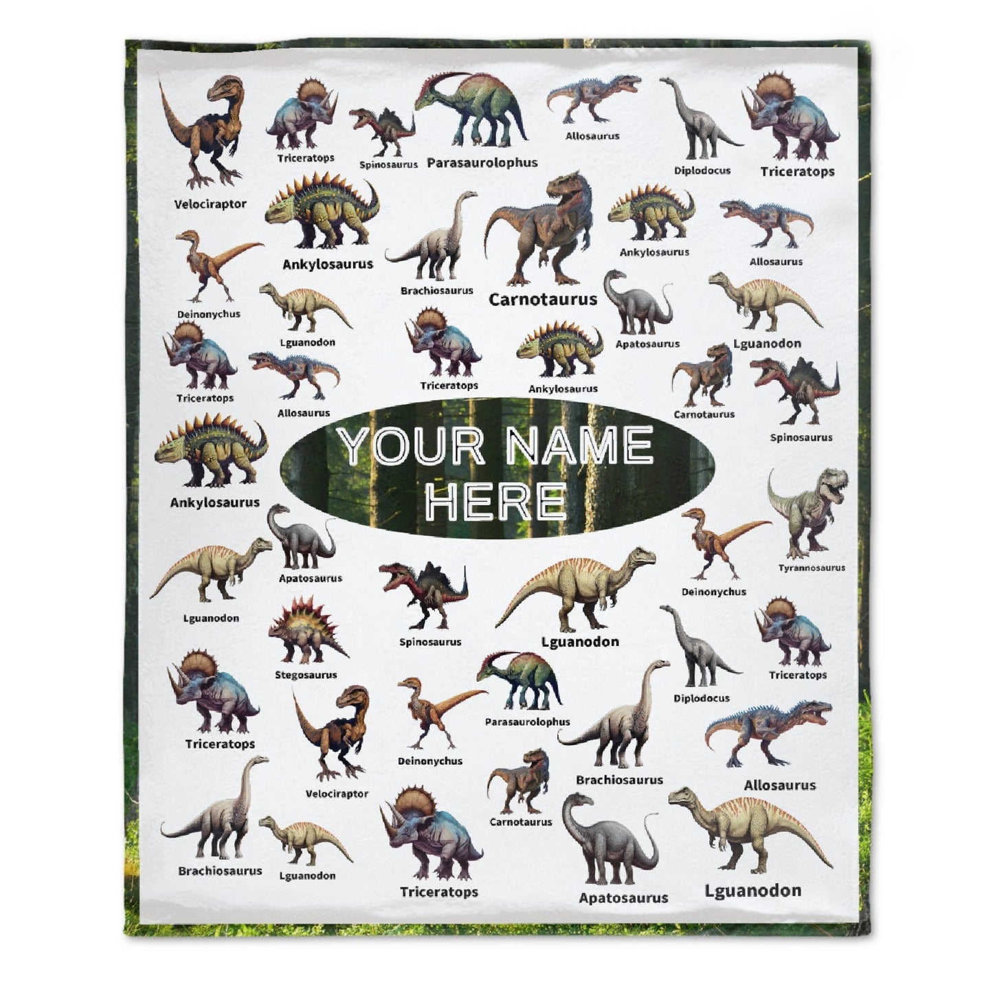 ️Personalized Jurassic Dinosaur Name Custom Blanket