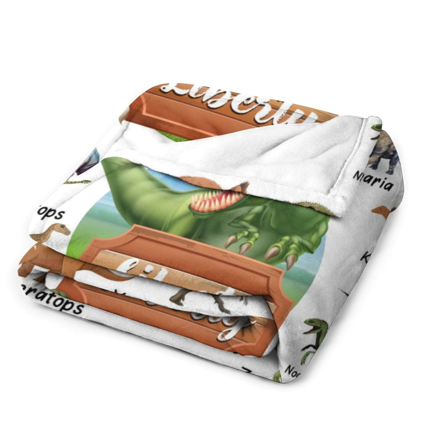 ️Personalized Custom Name Blankets -  Dinosaur World