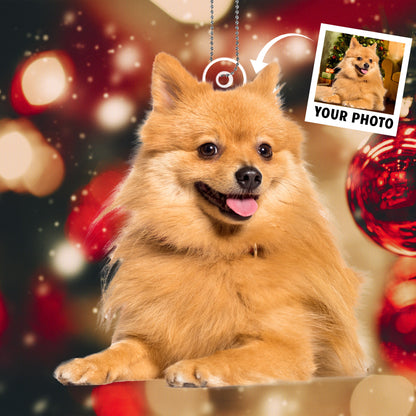 Furry Joy & Christmas Cuddles - Personalized Pet Photo Upload Acrylic Ornament - Gift For Pet Lovers